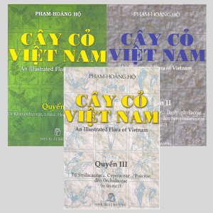 Cây Cỏ Việt Nam (Bộ 3 quyển) – Phạm Hoàng Hộ