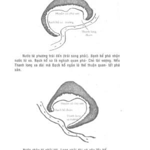 Phong Thủy Tài Vượng