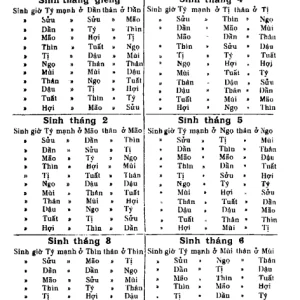 Tử Vi Lập Thành Và Phụ Đoán – Nguyễn Phúc Ấm