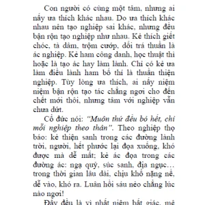 Niệm Phật Pháp Yếu – Cư Sỹ Dịch Viên Mao Lăng Vân
