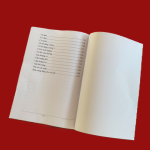 Hát Văn 56 Giá Đồng