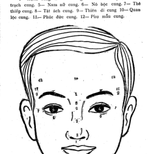 Coi Tướng Đàn Ông - Túy Lang