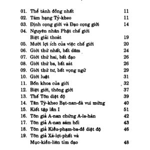 Cương Yếu Giới Luật – Thích Thiện Siêu