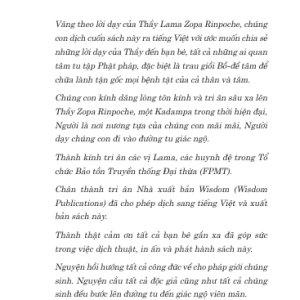 Điều Trị Tận Gốc – Năng Lực Chữa Lành Của Tâm Bi Mẫn