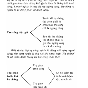 Bản Mới Rõ Nét - Khí Đạo (Khí Công Y Đạo) – Lục Lưu