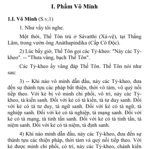 Kinh Tương Ưng Bộ (5 cuốn) – Hòa thượng Thích Minh Châu