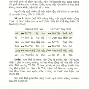 Lục Hào Nghi Hoặc Chỉ Mê – Vương Hổ Ứng