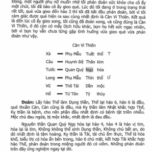 Lục Hào Quái Tượng Giải Mật – Vương Hổ Ứng