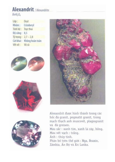 Sổ Tay Người Chơi Đá - In Màu Cực Đẹp