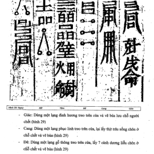 Tam Giáo Chính Độ Thực Lục