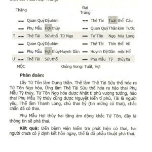 Tế Thuyết Lục Hào Dự Trắc Học – Vương Hổ Ứng