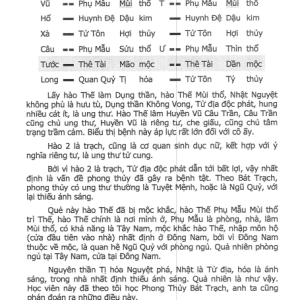 Thế Giới Nhân Quả Trong Dự Đoán Lục Hào