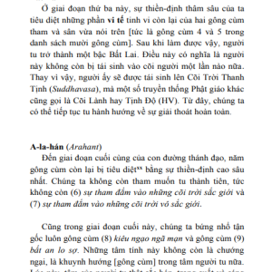 Bốn Nền Tảng Chánh Niệm