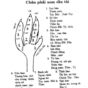 Xem Quẻ Chân Gà