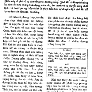 Phong thủy sân vườn