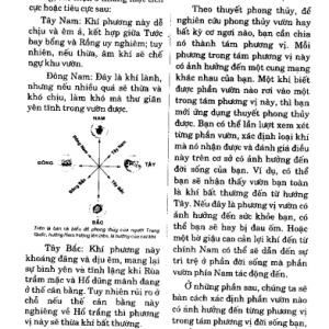 Phong thủy sân vườn