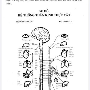 Rung động thư giãn với năng lượng cảm xạ học