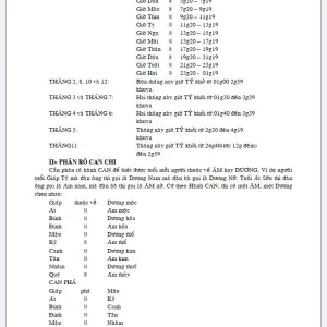 Tử vi thực hành dịch lý huyền cơ