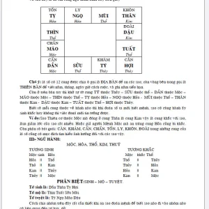 Tử vi thực hành dịch lý huyền cơ