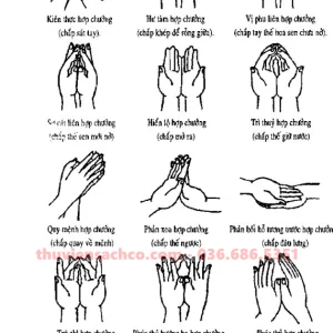 Toàn Tập Giải Thích Các Thủ Ấn Phật Giáo