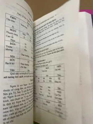 Bản Đẹp Bí Tàng Đại Lục Nhâm Độn Đại Toàn – Bùi Ngọc Quảng (2 Tập)