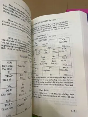 Bản Đẹp Bí Tàng Đại Lục Nhâm Độn Đại Toàn – Bùi Ngọc Quảng (2 Tập)