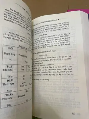 Bản Đẹp Bí Tàng Đại Lục Nhâm Độn Đại Toàn – Bùi Ngọc Quảng (2 Tập)