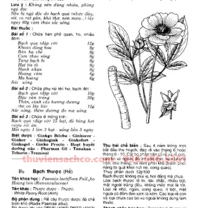 Cây Thuốc Bài Thuốc Và Biệt Dược Sách Hay Đông Y