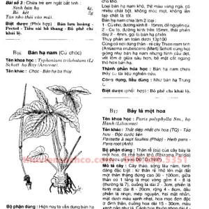 Cây Thuốc Bài Thuốc Và Biệt Dược Sách Hay Đông Y