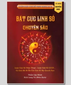 Cải Vận Với Bát Cực Linh Số Chuyên Sâu – Hiểu Sâu Hơn Về Năng Lượng Bát Cực Linh Số
